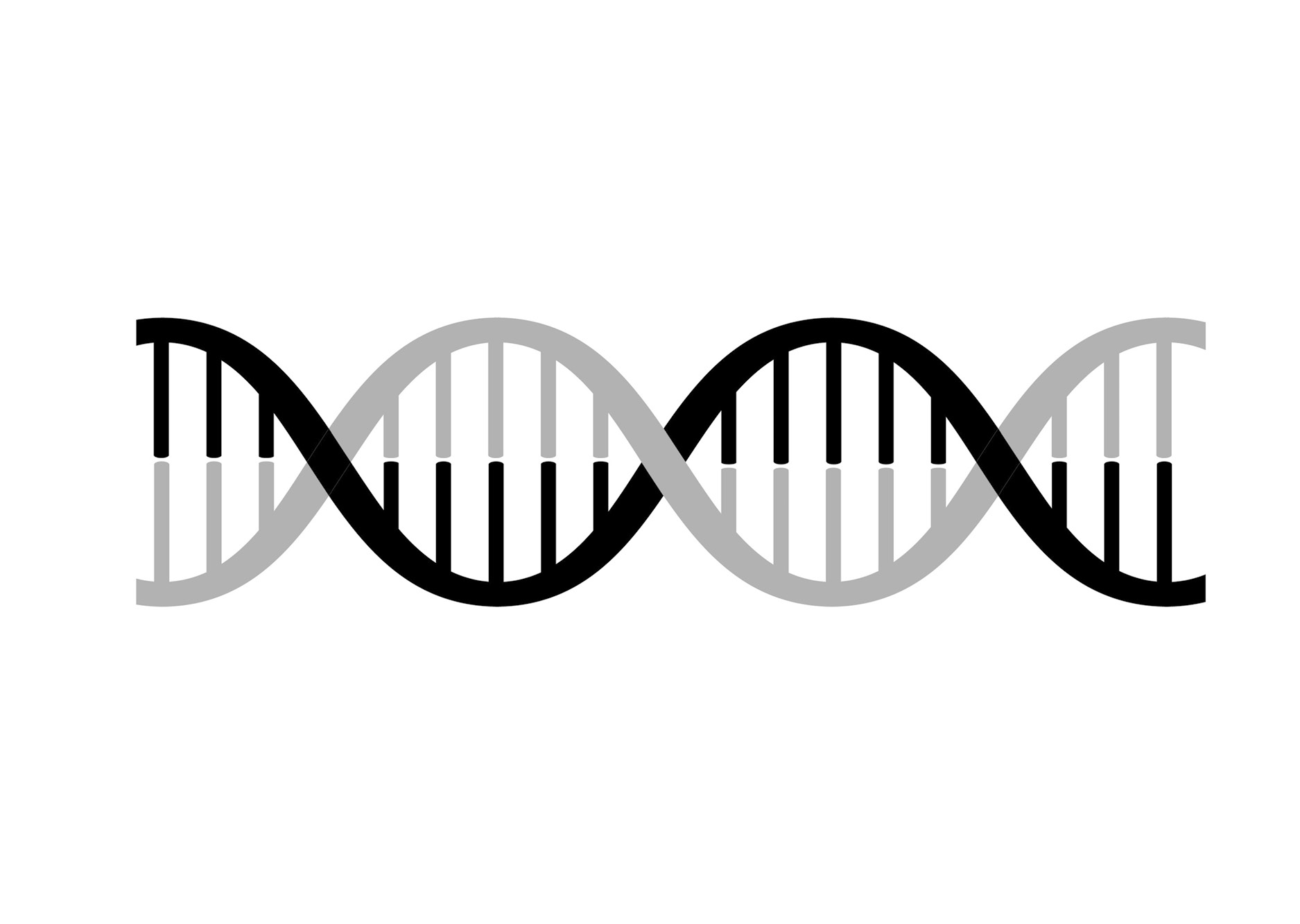 Startmaterial – DNA och fcDNA