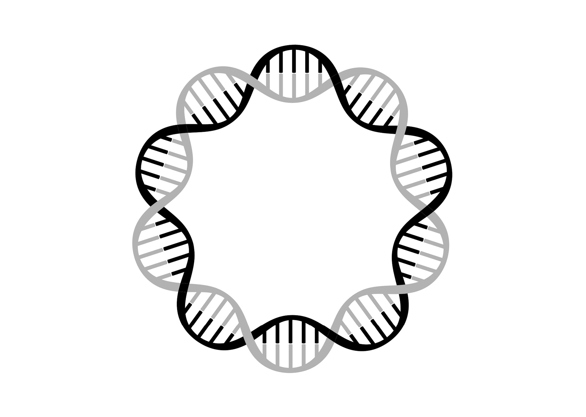 Startmaterial – RNA och Plasmid